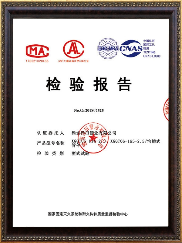 檢驗報告
